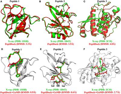 Frontiers | Improved Modeling Of Peptide-Protein Binding Through Global ...